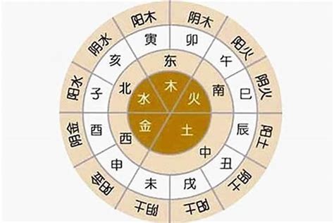 五行八字怎麼看|八字新手教學 